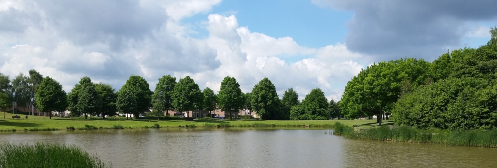 uitzicht vijver graswinkel